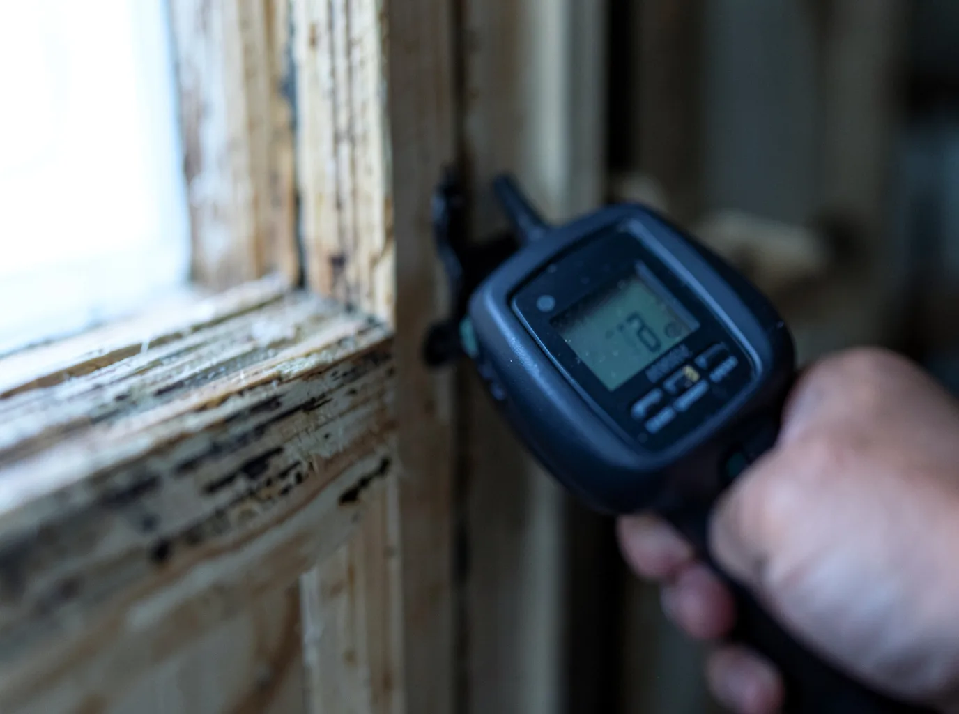 Moisture Inspection And Documentation in Mineral Bluff, GA